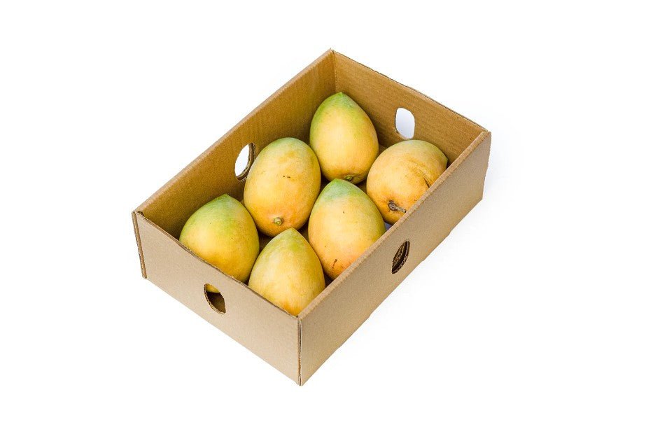 Fresh Kesar Mango BOX (5-6 Pcs) 1300g-1500g